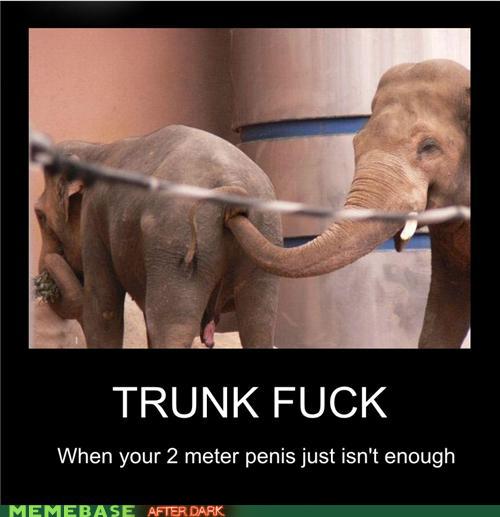 Bondage Demotivational Memes | Free Hot Nude Porn Pic Gallery